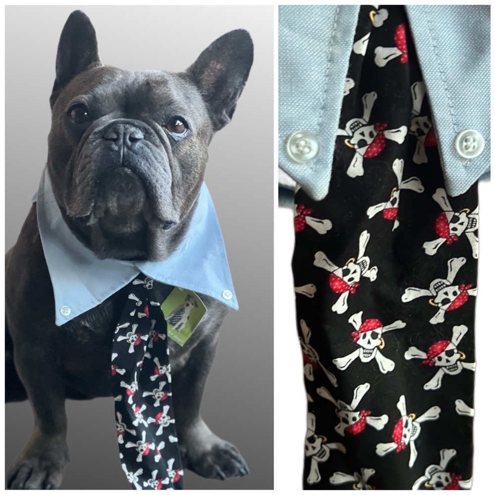PETEYDESIGNS Dog pirate print Tie/NWT - Picture 3 of 10